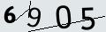 verifycode